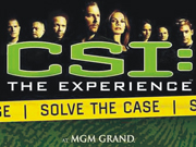 CSI: The Experience ***CLOSED***