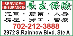 长友保险, Service Plus Insurance,  