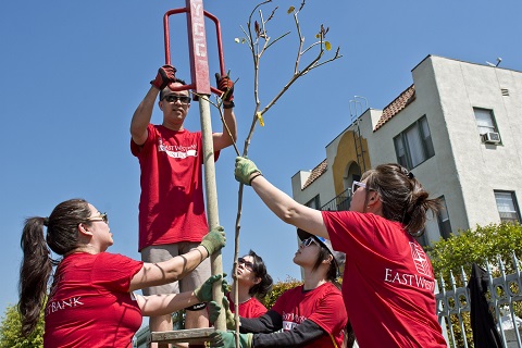 华美银行与洛杉矶湖人队携手植树 