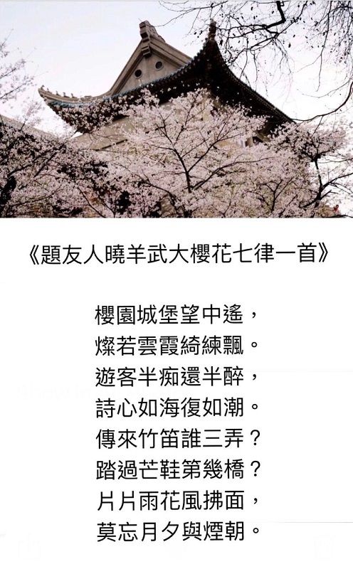 拉斯維加斯線上藝術聯展(詩、書、畫、印、影)