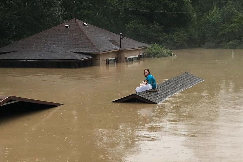 肯塔基州超大豪雨釀洪災 16人罹難包含6童