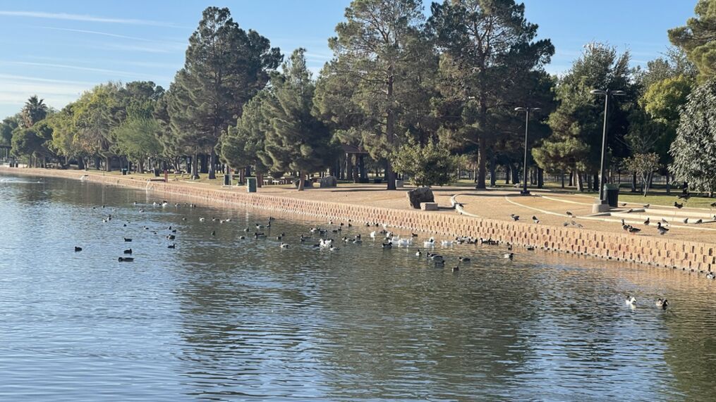 拉斯維加斯Sunset公園 發現禽流感疫情