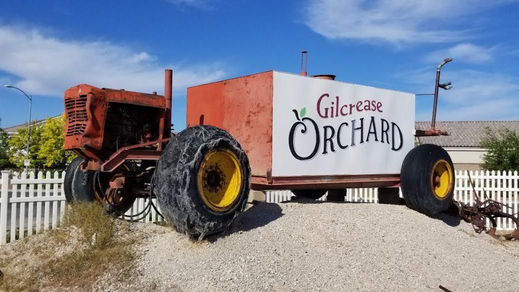 Gilcrease Orchard 本週末出售聖誕樹