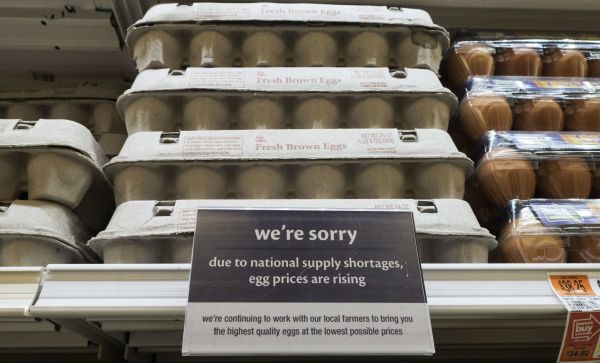 美国鸡蛋价格 升至历史纪录高点