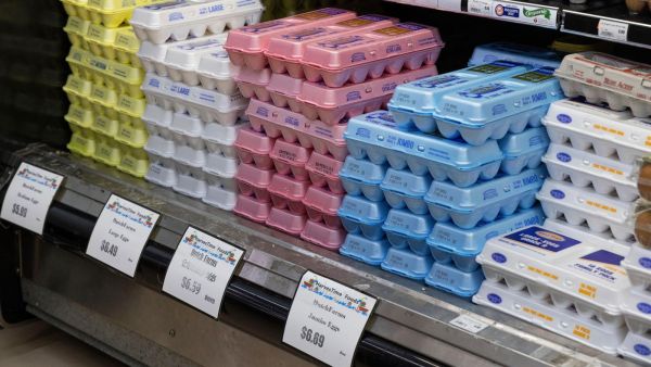 好消息！美国鸡蛋价格開始回落