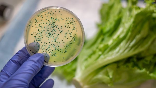 恐怖細菌引發敗血症死亡 全美10州爆發