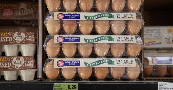 美国鸡蛋价格飙升数月后 开始回落
