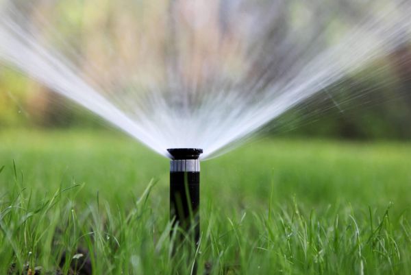 拉斯维加斯房主 更换草坪节水奖金增加