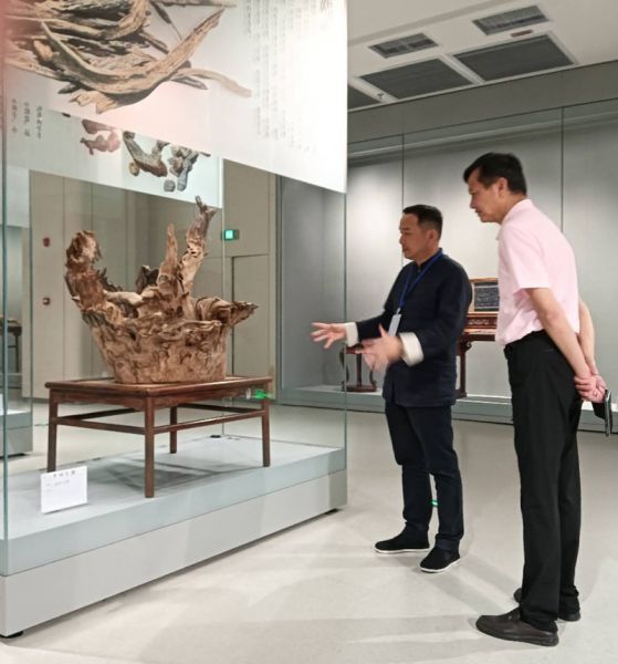“崖香雅事”——海南沉香结香制香技艺主题展在海口隆重开展