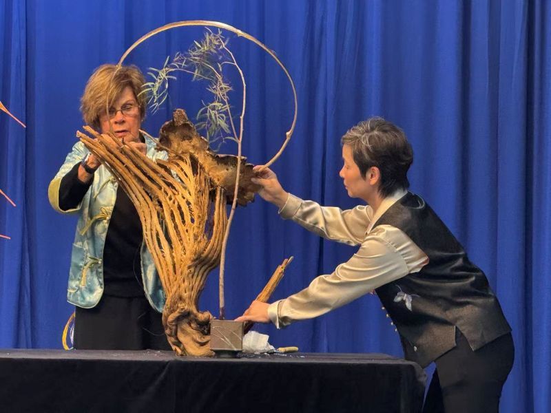 藍天花藝展圓滿落幕 24件作品競艷 一等獎至三等獎揭曉