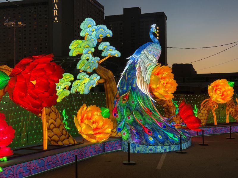 GlowFest 拉斯维加斯灯海嘉年华盛大开幕