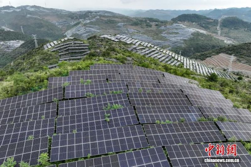 “典”亮美丽中国：一份面向世界的绿色答卷