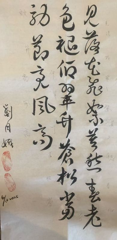 中国书法中草书介绍
