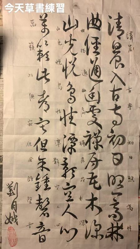 中国书法中草书介绍