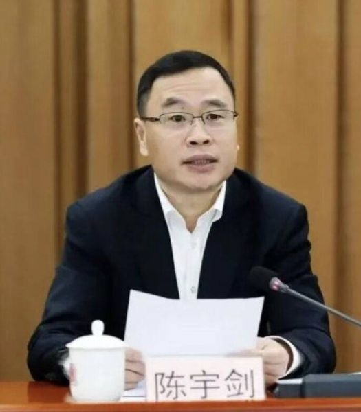 上海副市長陳宇劍涉嫌嚴重違紀違法 落馬！