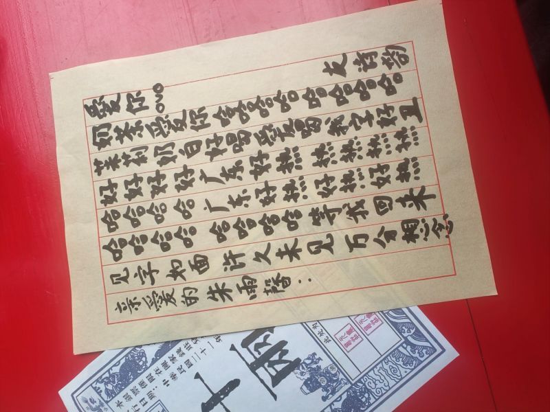美国华裔青年返乡寻根 风韵南粤夏令营开营