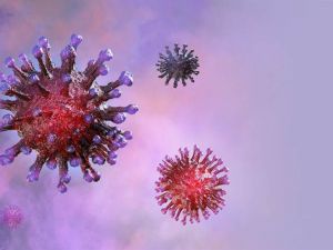 美研究發現 曾患流感者可能擁有新冠病毒抗體