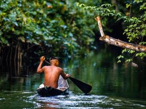 巴西兩兄弟困亞馬遜雨林28天 靠喝水奇蹟生還