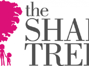 恒丰银行捐款The Shade Tree 关怀受害妇女家庭