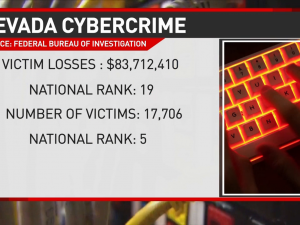 內華達州網絡犯罪 全美名列前茅