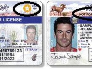美Real ID更新時限再延長 舊版ID延至2025年