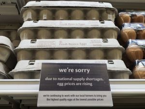 美國雞蛋價格 升至歷史紀錄高點