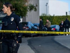 洛杉矶豪宅区爆枪击 3死4人伤 