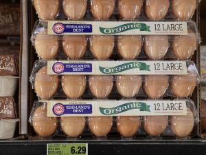 美国鸡蛋价格飙升数月后 开始回落