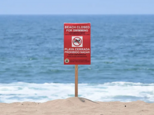細菌超標 洛杉磯所有海灘暫禁止下水