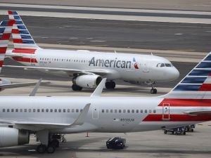 飞鸟撞击 美国航空班机迫降拉斯维加斯