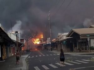 夏威夷野火已致36死 民众跳海逃生 万人撤离