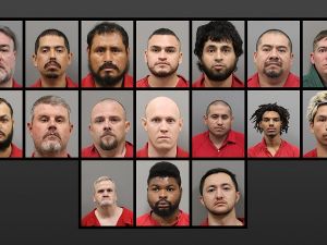 卧底特工奏效 17名儿童性侵者被逮捕