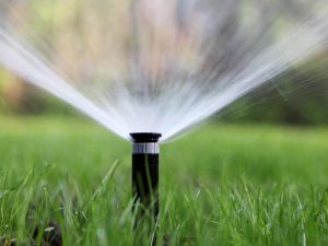 拉斯维加斯房主 更换草坪节水奖金增加
