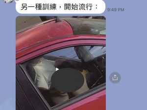 台联会长王建平遭女伴踢爆涉嫌性奴凌虐 