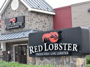 北美知名海鮮餐廳 紅龍蝦正式申請破產保護
