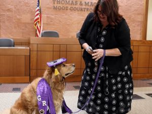 法庭治療犬通過認證 陪伴兒童受害者