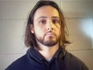 洛杉磯斷崖野火嫌犯落網 Uber司機遭控惡意縱火