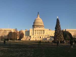 联邦政府关门进入第二周 两党僵局未解医疗补助成焦点