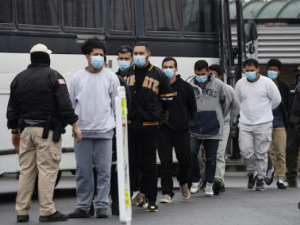 美国移民局：暂停所有外国人庇护案件裁决