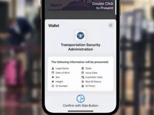 TSA：12/1起航空旅客无有效证件 需支付$45