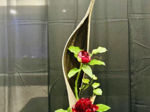蓝天花艺展圆满落幕 24件作品竞艳 一等奖至三等奖揭晓