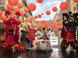 2026维加斯「龙腾马跃」喜迎农历新年