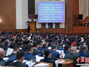 “典”亮美丽中国：一份面向世界的绿色答卷