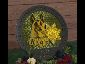  K-9警犬大赛 维加斯大都会警察局夺冠