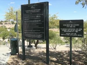 萨默林女子携犬散步 遭蜂群袭击