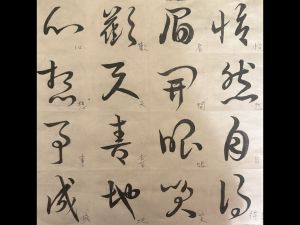中国书法中草书介绍
