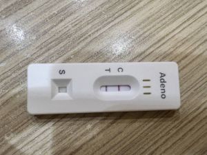 進口劣質快篩「換標」美國製 華男全美詐騙400萬美元